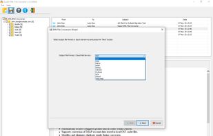 Specify the format to convert to