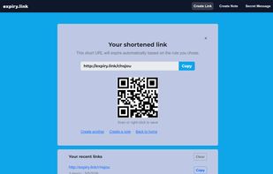 Your short link is ready: copy, share, and watch the expiry countdown.