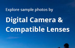 ExploreCams screenshot 2