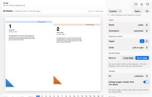 Place two PDF pages on each sheet with order, margin and binding controls.