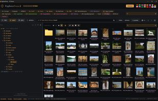ExplorerFocus with 22 profile tabs across the top and a folder of 50 photos in icon view.