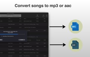 Export for iTunes screenshot 1