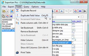 Exportizer screenshot 2