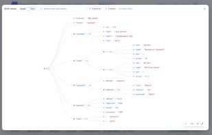JSON Viewer graph: every key and value as a node-link diagram, full screen