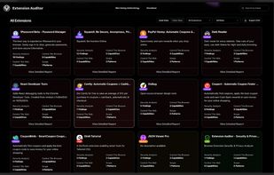 Extension Auditor screenshot 1