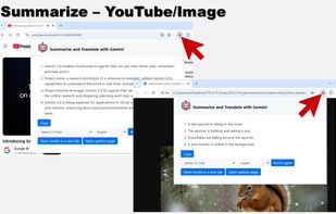 Summarize and Translate with Gemini screenshot 2