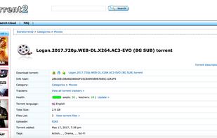 Torrent Information Page