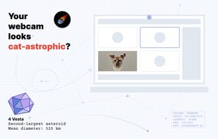 Your webcam looks cat-astrophic?