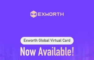 Exworth PRO screenshot 1