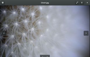 eye of MATE screenshot 1