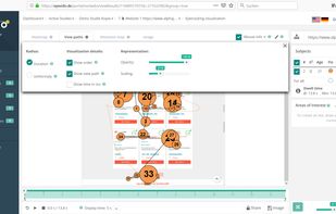 View gaze and mouse paths. Change the settings to your preferences. 