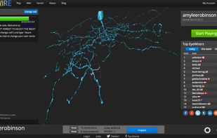 EyeWire screenshot 1