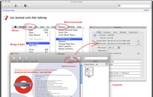 Main window and menus