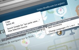 gTranslate screenshot 1