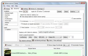 Renamer panel, Vista: