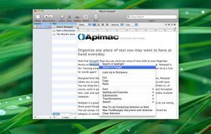 Apimac Notepad screenshot 2