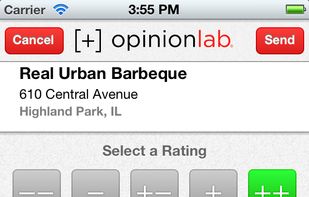 Opinionlab screenshot 1