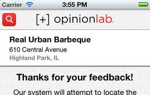 Opinionlab screenshot 2