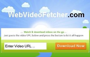 WebVideoFetcher screenshot 1