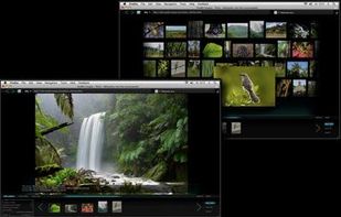 OutWit Images screenshot 1