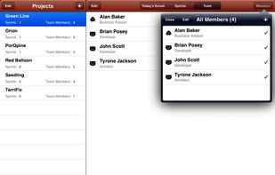 Team Member Management