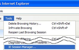 IE Session Manager screenshot 1