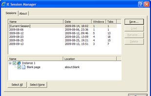 IE Session Manager screenshot 1