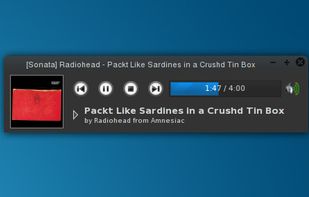 Basic Sonata window with the current playlist and other features hidden.