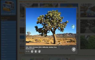 VisualLightBox screenshot 1