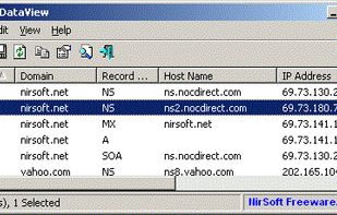DNSDataView screenshot 1