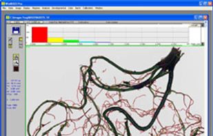 WinRHIZO screenshot 1