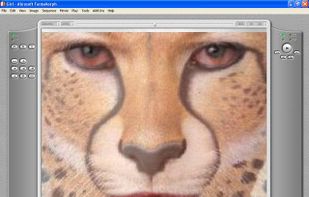 Abrosoft FantaMorph screenshot 2