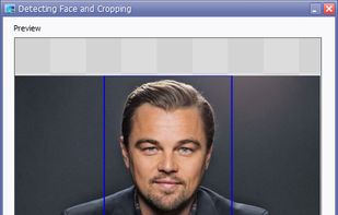 Face Crop Jet screenshot 1