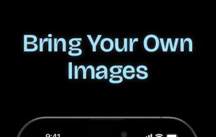 Faceswapper.ai screenshot 1