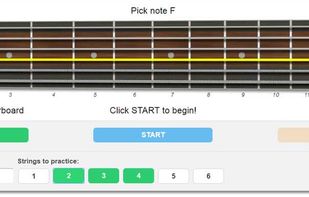 Fretboard notes training software
