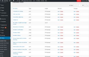 Falang multilanguage for WordPress screenshot 1