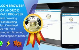 Falcon Private Browser screenshot 1