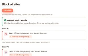 Blocked sites, grouped by severity and written in plain language