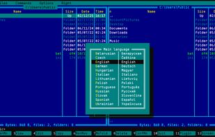 UI language selection