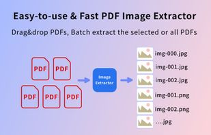 Fast Batch Extract PDF Images screenshot 2