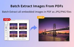 Fast Batch Extract PDF Images screenshot 1