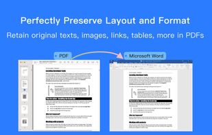Fast PDF to Word Pro screenshot 2