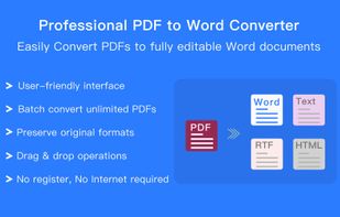 Fast PDF to Word Pro screenshot 1