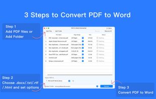 Fast PDF to Word Pro screenshot 3