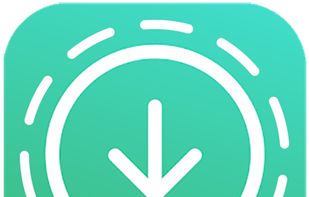 Fast Status Saver screenshot 1