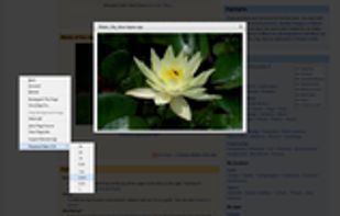 Faster Video screenshot 1