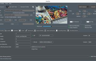 FastFlix screenshot 1
