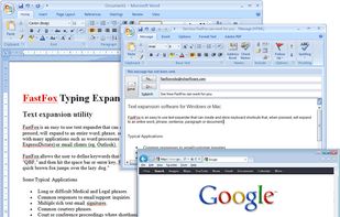 FastFox screenshot 1