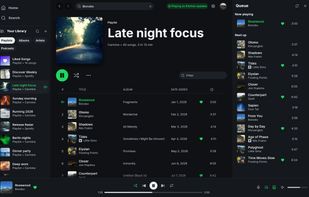 Fastpotify screenshot 1