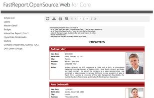 FastReport Open Source screenshot 1